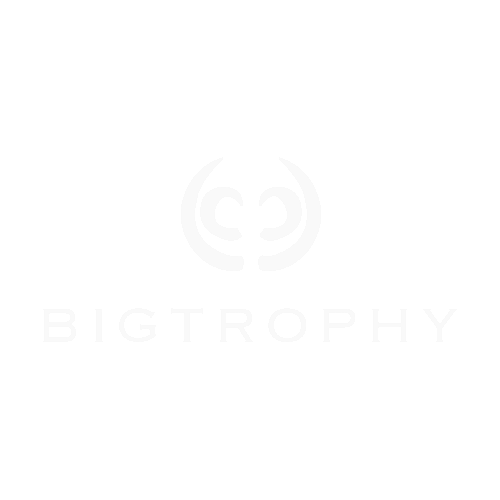 Diseño sin título